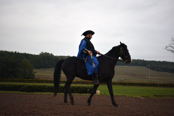 Traditional Hungarian rascally on the Horse show at the conference banquet